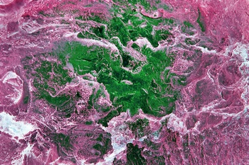 A 241A
